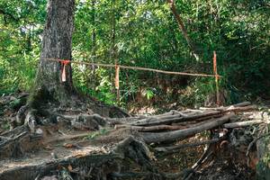 BIB: 
                            <button type="button" onclick="openModal(27550595)" class="btn btn-primary btn-sm float-right btn-popup" data-toggle="modal" data-target=".modal-high-quality">
                        <i class="fas fa-shopping-cart"></i> Add to Cart
                    </button>
                                            <button type="button" onclick="isThisMe(27550595, true)" class="btn btn-success btn-sm float-right btn-popup btn-isme hidden" data-toggle="tooltip" data-placement="bottom" title="นี่คือรูปของคุณใช่ไหม คลิกที่นี่เพื่อเอาเข้าอัลบั้ม">
                        <i class="fas fa-plus"></i> Add to album
                    </button>
                    <button type="button" onclick="isThisMe(27550595, false)" class="btn btn-warning btn-sm float-right btn-popup btn-isnotme hidden">
                        <i class="fas fa-ban"></i> Remove from album
                    </button>